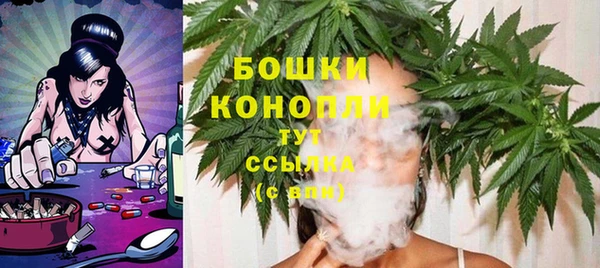 гидропоника Богданович