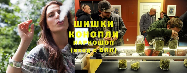 гидропоника Богданович