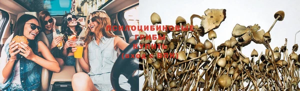гидропоника Богданович