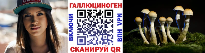Галлюциногенные грибы Psilocybine cubensis  наркошоп  Омск 